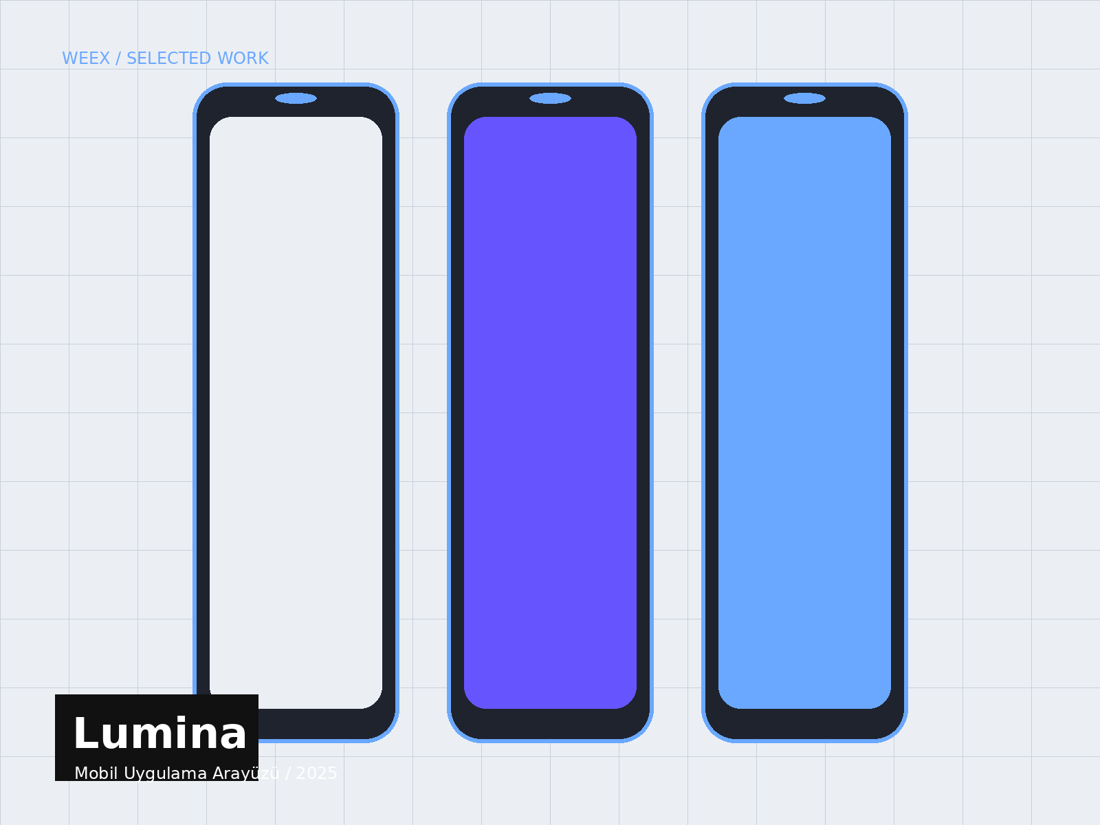 Lumina proje kapağı