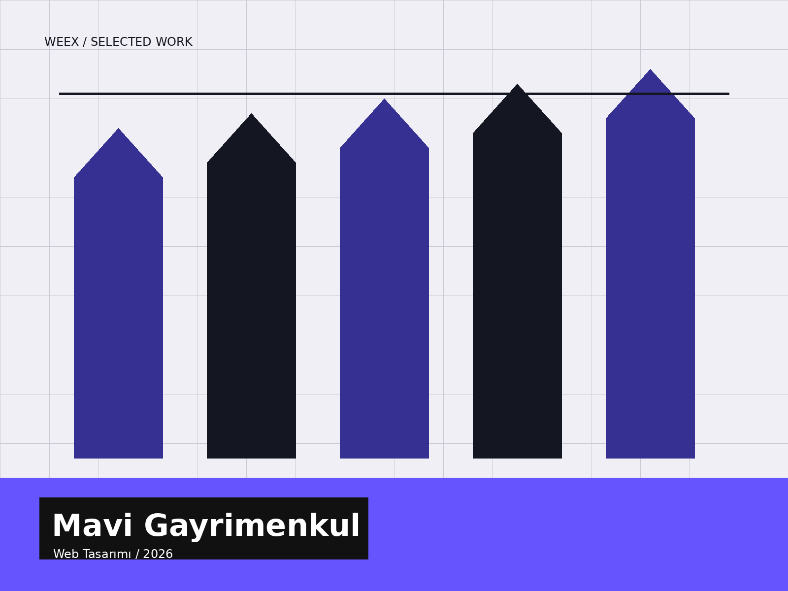 Mavi Gayrimenkul proje kapağı